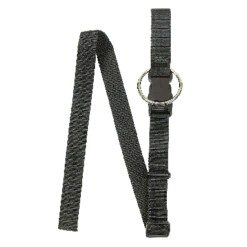 Dive Rite BP/W Double Tank Package -Mystic Shop 1 inch crotch strap dr 1